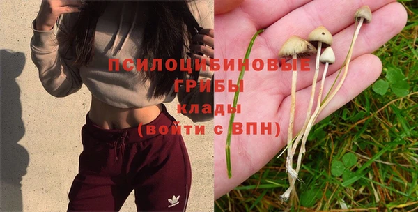 а пвп мука Гусь-Хрустальный
