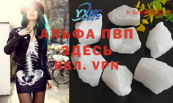 крисы Гусев