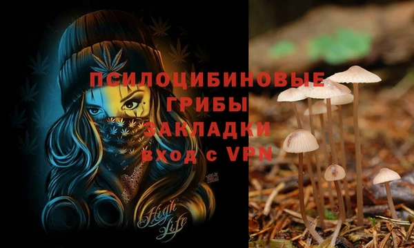 крисы Гусев