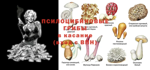 ALPHA-PVP Гусиноозёрск