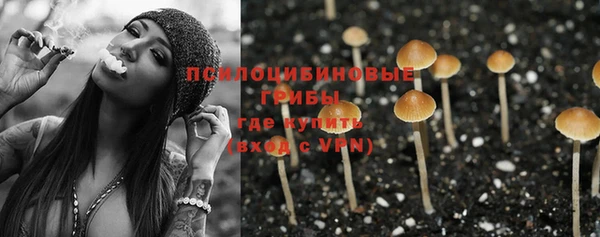 прущая мука Дмитриев