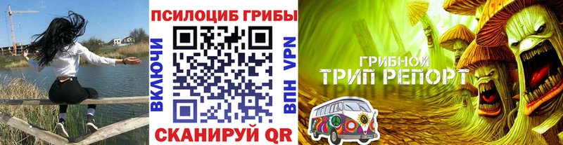Галлюциногенные грибы MAGIC MUSHROOMS  Купить закладки  Колпашево 